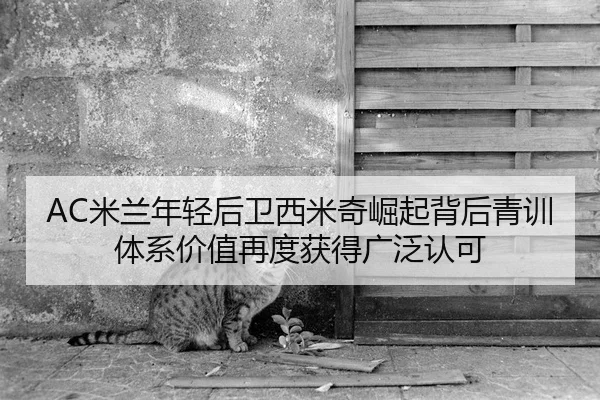 AC米兰年轻后卫西米奇崛起背后青训体系价值再度获得广泛认可