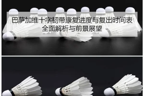 巴萨加维十字韧带康复进度与复出时间表全面解析与前景展望