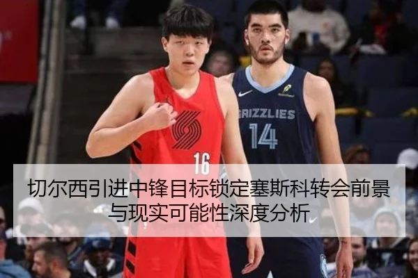 切尔西引进中锋目标锁定塞斯科转会前景与现实可能性深度分析